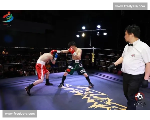 霍利菲尔德vs穆勒世纪对决力量与智慧的巅峰碰撞拳坛历史经典之战