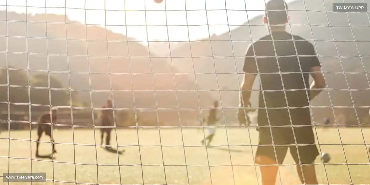 行业领先的理由